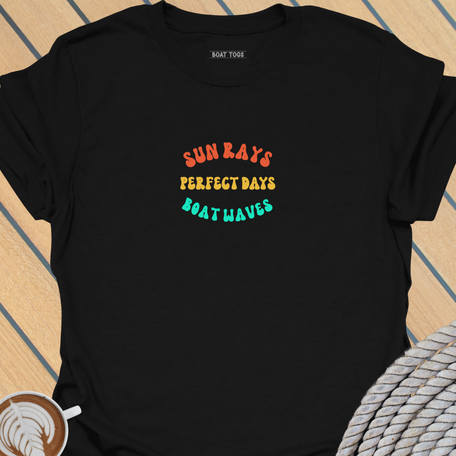 Perfect days T-shirt
